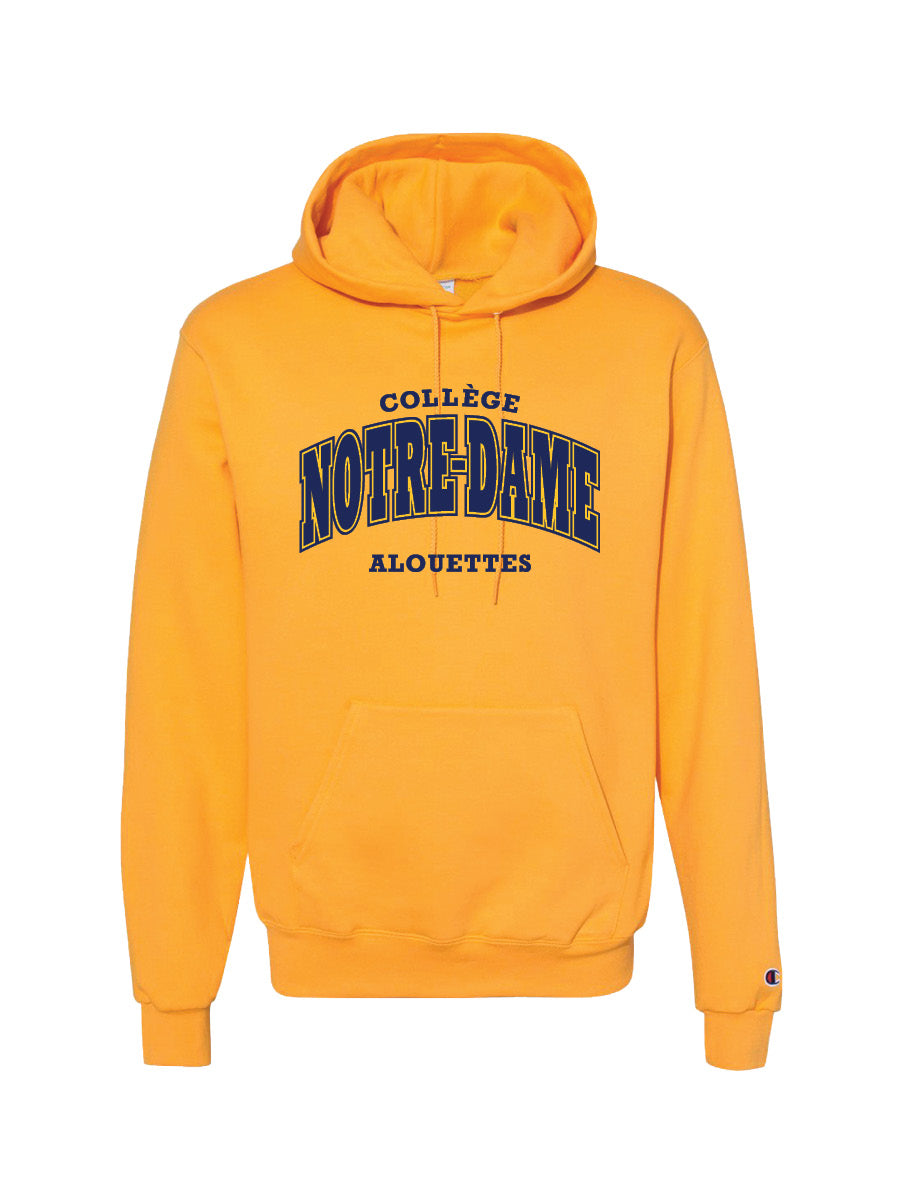 Champion hoodie gold coast Clearance