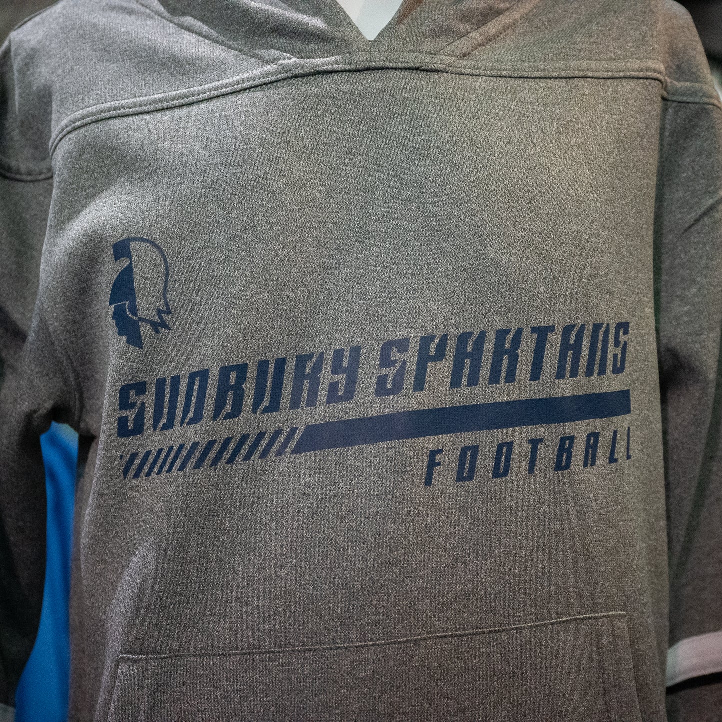 Spartans Youth Grey Hoodie