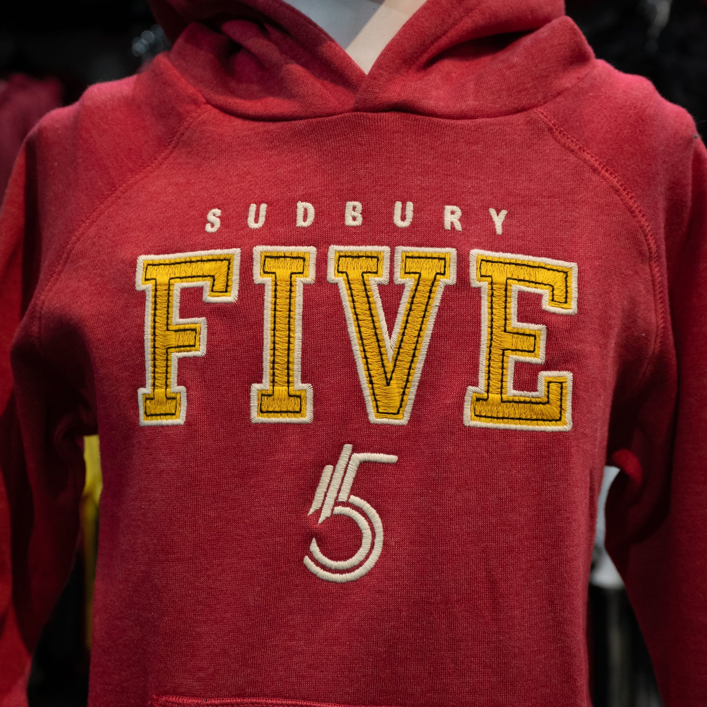 Five Youth Red Hoodie