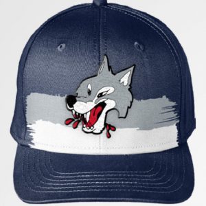 Wolves Bardown Retro Splash Hat